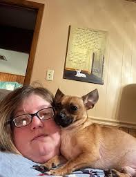 Chihuahuas as momma's boys and personal space invaders