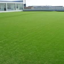 Quality grass seed for lawns, landscaping and horse paddocks. Nothing Found For Products 500 Special Grass Seeds Lawn Seed Secret Gifts Evergreen Perennial 500pcs Can L Grass Seed Seeding Lawn Soil And Water Conservation