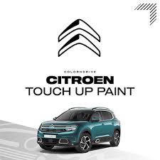Image result for Gris Haria 2011 Citroen