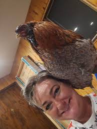 Hi all! I just wanted to introduce myself and share a photo that I took.  I'm Tech Sgt Auren Sunfell. I will be at SWCE today (Saturday)