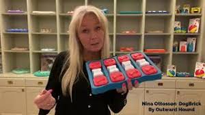 Maybe you would like to learn more about one of these? Nina Ottosson Dogbrick Tutorial Youtube