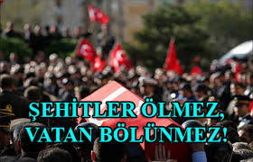 Olay 1974 yılında yapılan kıbrıs harekatı'nda yaşanmış. Sehitler Olmez Vatan Bolunmez Milli Dusunce Merkezi