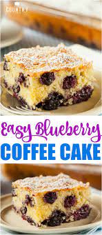 Easy Fresh Blueberry Biscuit Cake Recipe Bisquick Coffee Cake Recipe Coffee Cake Recipes Coffee Cake