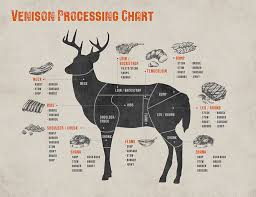 Deer Meat Venison Cut Diagram Get Rid Of Wiring Diagram