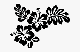 We did not find results for: Transparent Hibiscus Border Png Hawaiian Flower Clipart Black And White Png Download Kindpng