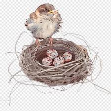 Download cartoon bird stock photos. Cartoon Bird Png Images Pngwing