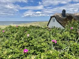See more of haus strandgut ostseebad ahrenshoop on facebook. Vamed Rehaklinik Ahrenshoop Home Facebook