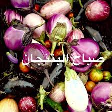 صباح البتنجان Vegetables Just For Fun Eggplant