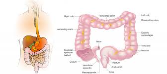 Ce este lekokclar, granule pentru suspensie orala si pentru ce se utilizeaza indicatii claritromicina este un antibiotic ce face parte din grupa antibioticelor macrolide. Sindromul Colonului Iritabil O Afectiune Greu De Depistat Cauze Simptome Tratament Medlife