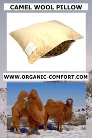 How to survive your first. Organic Comfort Market Organiccomfortmarket Profile Pinterest