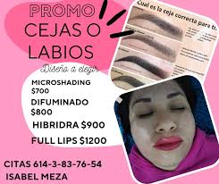 Remato 10 Laminas ECONÓMICAS De 3 Metros X 80 Centimetros En $ 2,800 Super  Económica Acerada En Calibre 28 , Aprovecha Disponibles Últimas Piezas  Envíos A Domicilio Sin Costo Por Envío 👉 Manda Inbox