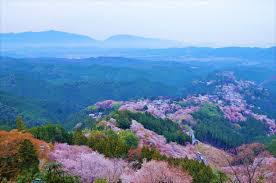 There are very few who know that japan best place to visit if you are looking for a travel destination. 10 Best Places To Visit In Japan In Spring 2021 Japan Web Magazine