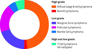 The most recent 2016 revision of the world health organization. Non Hodgkin Lymphoma The Bmj