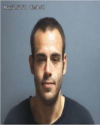 Greene County Jail Log