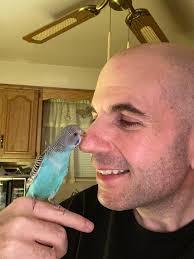 Farewell, Buddy (5/15/2020