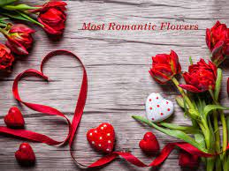 We did not find results for: Which Are The Most Romantic Flowers For Loved Ones By Flower Hills Medium