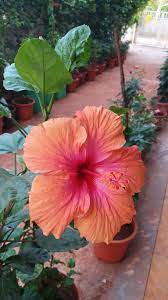 Pin On Prashant Pathak