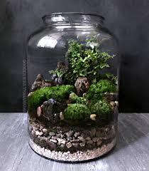 Hey J Ai Trouve Ce Super Article Sur Etsy Chez Https Www Etsy Com Fr Listing 241189548 Woodland Mousse Et Fougere Terrarium Garden Terrarium Moss Terrarium