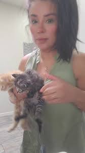 Lorylene11 (@lorylene11)