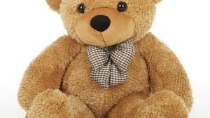 We did not find results for: Giant Teddy Bear Wallpaper For Desktop 2021 Cute Wallpapers