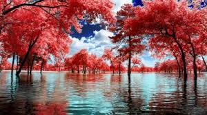 aesthetic windows themes themebeta aesthetic windows themes themebeta
