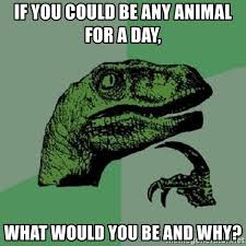 We did not find results for: If You Could Be Any Animal For A Day What Would You Be And Why Philosoraptor Meme Generator