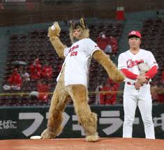 Rugby World Cup 2025 France Brazil highlights - a thrilling clash of teams