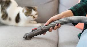 Do this outside or over a trash bag so you don't get hair all over your floors. 7 Clever Ways To Clean Up Pet Hair Around Your House
