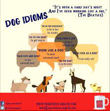 Dog Idioms English Idioms Teaching Idioms Idioms
