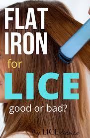 Leave the vinegar and water solution in for 5 to 15 minutes. Flat Ironing To Kill Lice And Nits Kill Lice Kill Lice Eggs Louse