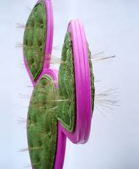 valentina gonzalez wohlers prickly pair chairs unique accent chair animal chair unique chair