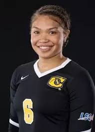 2017 Volleyball Roster