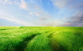 wallpaper 2560x1600 px clouds fields grass landscapes nature 2560x1600 wallpaperup 1690927 hd wallpapers wallhere 2560x1600 px clouds fields grass