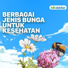 Selain suku bunga efektif, masih ada jenis bunga lainnya. 8 Bunga Yang Bisa Dimakan Dan Manfaatnya Bagi Kesehatan