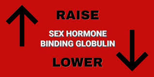 Unusually high shbg levels can be. How To Raise Or Lower Sex Hormone Binding Globulin Shbg Lost Empire Herbs