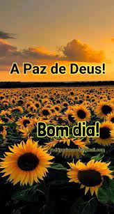 pin de rodrigo viana ccb em a paz de deus bom dia mensagem de boa noite imagens de bom dia paz