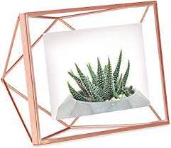 We did not find results for: Umbra Prisma Picture Frame 4x6 Photo Display For Desk Or Wall Copper Gold Office Decor Rose Gold Decor Decor