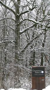 This higher amount is an unlikely scenario, with only a 1 in 10, or 10% chance that more snow will fall, and a 9 in 10, or 90% chance that less snow will fall. Minnesota Collegeville Institute