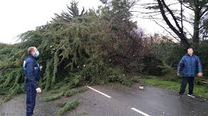 Information sur les risques météorologiques des 24 prochaines heures, alertes météo, weather forecasting warning. Tempete Bella En Loire Atlantique Tornade Vent Pluie Et Grele Creent Degats Et Accidents Le Courrier Du Pays De Retz