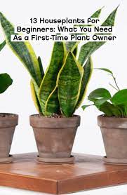 Pin On Houseplants Gardening