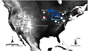 Press question mark to learn the rest of the keyboard shortcuts Spatiotemporal Adaptive Evolution Of An Mhc Immune Gene In A Frog Fungus Disease System Heredity