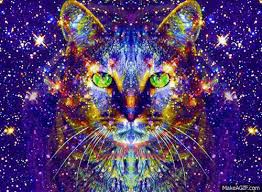 The great collection of trippy wallpaper gif for desktop, laptop and mobiles. 50 Psychedelic Weed Wallpaper On Wallpapersafari