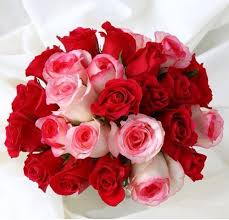 صور باقات ورد أحمر Red And White Roses Bouquet صور ورد وزهور Rose Flower Images