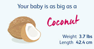 32 Weeks Pregnant Your Pregnancy Week By Week Bounty