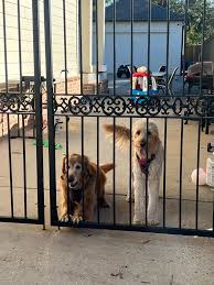 Reunited!!!!! Crossposting https://www.facebook.com/share/p/1GQJNNEqob/?