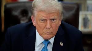 DAN HODGES: Our politicians fawn over King Donald. But he only respects  those who take a stand