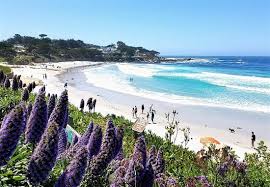 Buy flowers online in carmel, roses, lilies, tulips, mixed bouquets, arrangements, same and next day flower delivery from bloomex offers same day flower delivery to carmel and surrounding area, six days a week. Beautiful Views Of Beach Homes Flowers And Fun Shops Review Of Carmel Beach Boardwalk Carmel Ca Tripadvisor