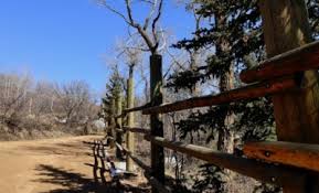 In the psychiatry world, we call the state of emotional detachment, congruence. Helping Someone With Emotional Detachment Confront The Void Evolution Counseling