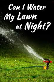 Best way to water lawn: Can I Water My Lawn At Night Garden Tabs