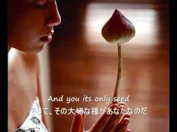 the rose bette midler 歌詞字幕 english japanese lyrics youtube bette midler lyrics country music videos